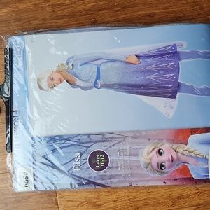 Adult Disney Frozen II Elsa Costume Dress in Blue and White